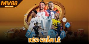 Kèo Chẵn Lẻ - Loại Hình Giải Trí Đầy Kịch Tính, Hấp Dẫn