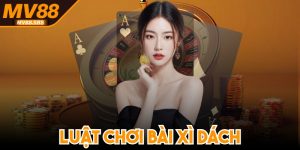 Luật Chơi Bài Xì Dách Nắm Chắc Cơ Hội, Tự Tin Chơi Game
