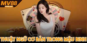 Thuật Ngữ Cơ Bản Trong Mậu Binh Dành Cho Người Mới